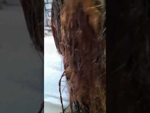 Hidratación . ..Sala de belleza yanelis