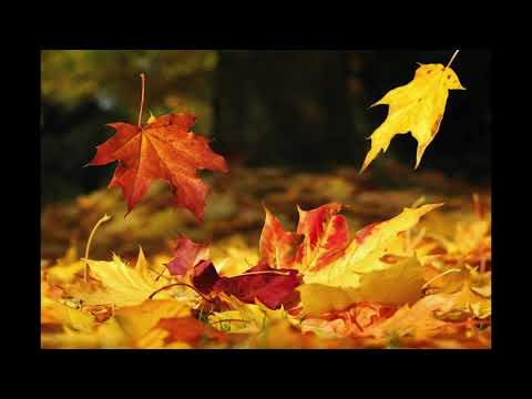 Jazzappella  - The Autumn Leaves