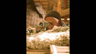 Download lagu 🎯 EPIC SNIPER DUEL in Operation Red Sea! 🔥 Best Tactical Showdown Ever? mp3