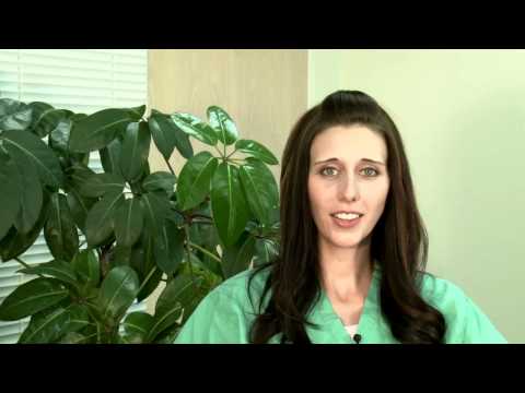 The 27th Week of Pregnancy