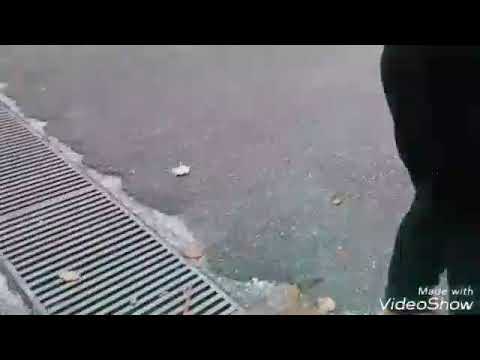 Rally della Riviera 2017