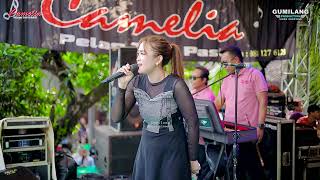 Download lagu CAMELIA MUSIC - MAKSIAT & TAQWA - RIA ANDIKA - PARTY SEDULUR ERWE LIMO - PENDEM KEMBANG JEPARA mp3