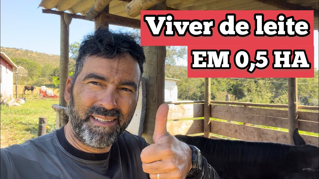 EU VI UM PRODUTOR QUE VIVIA DE LEITE EM 0,5 HECTARE | HOJE ISSO SERIA POSSÍVEL??