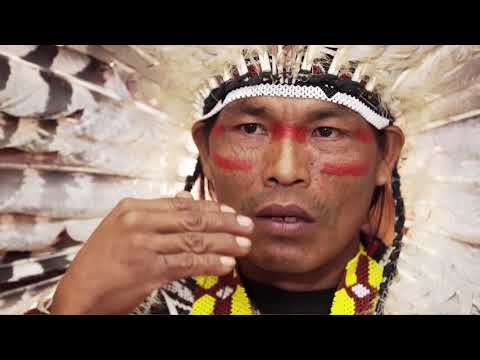 Pajé Bire Huni Kuin