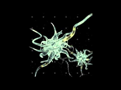 Gliesers - Riverside (Original Version)