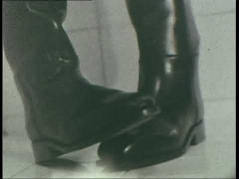 DeeDistlPunkNewWaveMovies1982