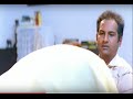 Subhaleka Sudhakar Comes To Kamal Haasan S Home Drohi Movie Scenes