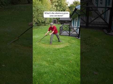 Mowing the LAWN with a SCYTHE