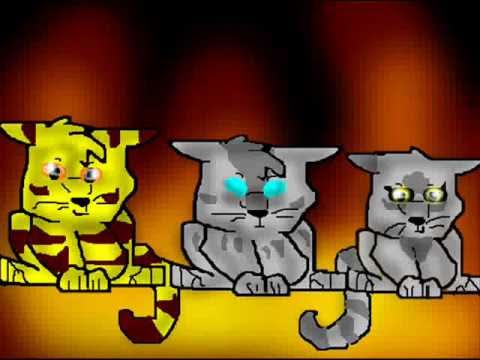 The Power of Three are Not Afraid (Warrior Catz AMV)
