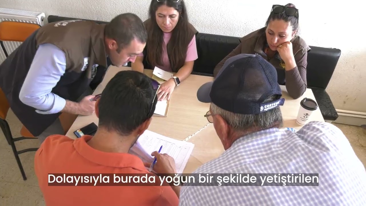 YÜZDE 50 HİBELİ KANOLA TOHUMUNU BAŞKENTLİ ÜRETİCİYLE BULUŞTURDUK