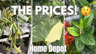 📉Lower Prices? WINTER RESTOCK || Home Depot Plant Fest