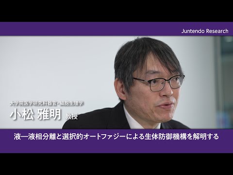 医学科 液‐液相分離と選択的オートファジーによる生体防御機構を解明する 【Juntendo Research】