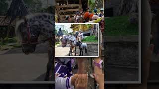 Download lagu Wow! Rumah Irfan Hakim Jadi Destinasi Wisata Edukasi Anak-Anak mp3