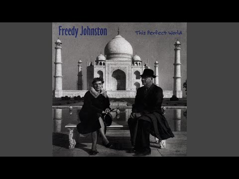 This Perfect World - Freedy Johnston