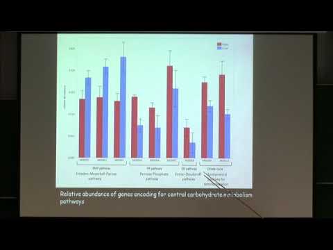Andreas Haas | Contributed Talk 2: Structure, Function and Dynamics in Microbial Communities