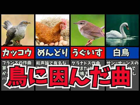 オルガニスト (鳥)について詳しく解説