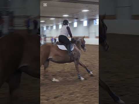Lamborgini EF schooling with amateur