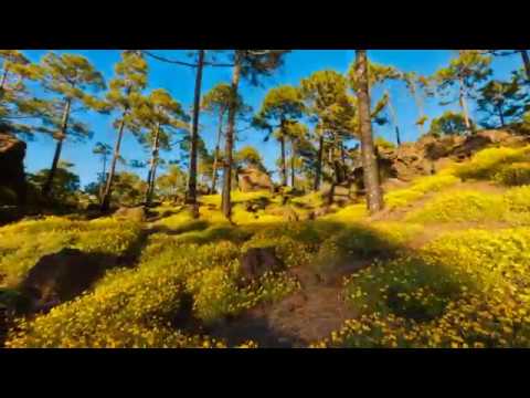 Faruk Sabanci feat  Jaren – Discover ( Zetandel Chillout Mix)