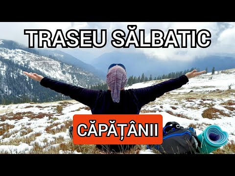 Un traseu superb spre creasta Muntilor Capatanii. Vaideeni-Lacul Balota-Vf. Capatana 2097m (Ep. 43)