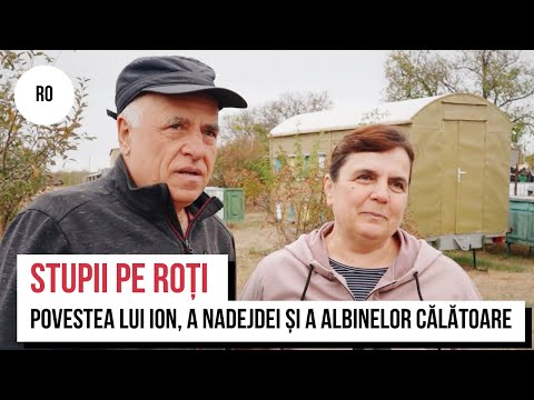 VIDEO Stupii pe roți. Povestea lui Ion, a Nadejdei și a albinelor călătoare - NewsMaker