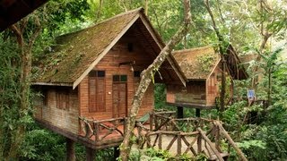 preview picture of video 'Arts Riverview Lodge im Khao Sok NP'