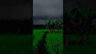 Download lagu Terjebak Hujan Di Tengah Sawah #shortvideo #shortcinematic mp3 Download lagu Terjebak Hujan Di Tengah Sawah #shortvideo #shortcinematic mp3