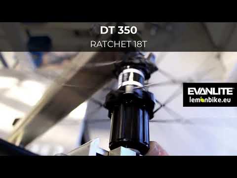 🔊 DT Swiss HUBS SOUND: 180 EXP, 240 EXP, 350 + Ratchet 18/36/54T