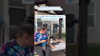 Video preview image #1 - Mix Puppy For Sale in Shermans Dale, PA, USA