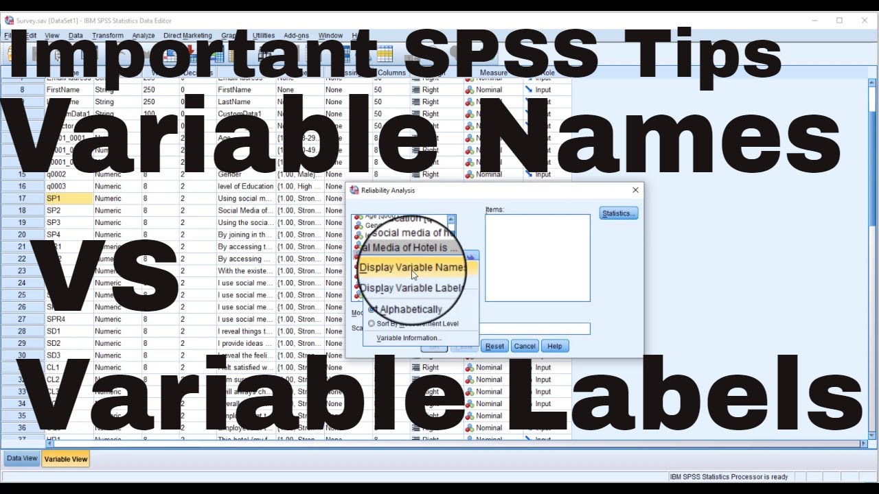 Variable Names and variable Labels in SPSS: Important tips for beginners