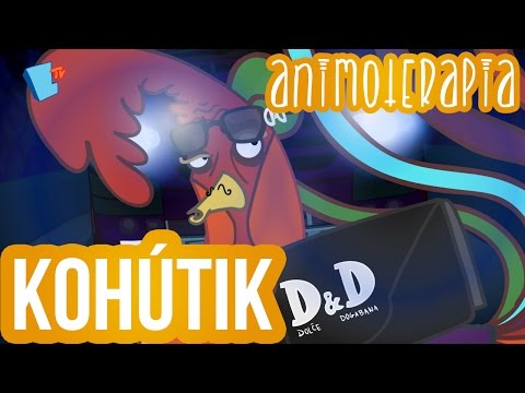 Animoterapia - 5 : Kohútik