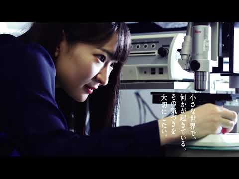 工学部　機械学科　機械工学専攻（2020年10月1日現在）