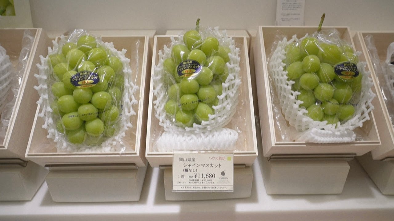 Japan Battles To Protect Premium Fruits Japan Battles To Protect Premium Fruits