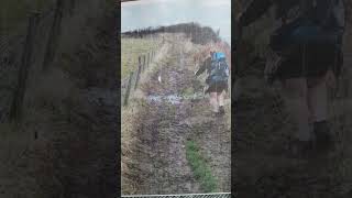 Download lagu Lynn covers All I Have To Do Is Dream by The Everly Brothers, written by Boudleaux Bryant #shorts mp3