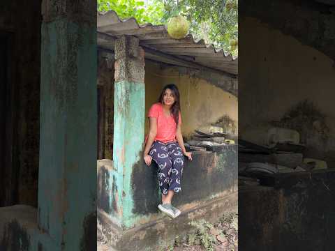 🍈🤤കമ്പിളി നാരങ്ങ പറിക്കാൻ പോകാം‼️ #shorts #nostalgia ♥️