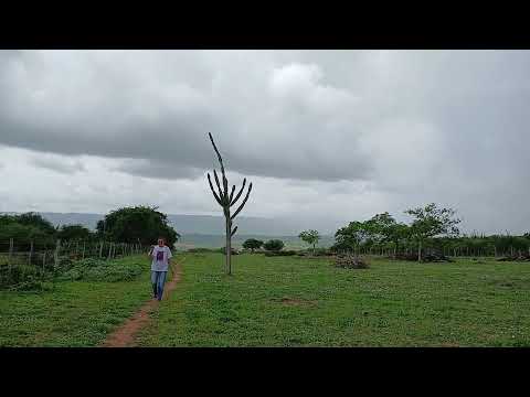 Sítio Areial #zona rural #paraiba março 2026.