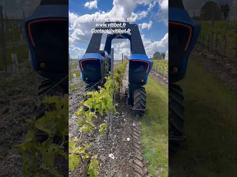 100% Electric & Autonomous Robot BAKUS For Vineyards || By VITIBOT France || #autonomous #robot