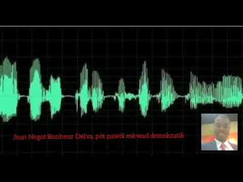 Pòt pawòl eskwad demokratik la Jn Bonheur Delva pwononsel sou sitiyasyon politik la 2ème lendi janvy