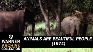 Animals Are Beautiful People (1974) Video