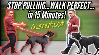 How to STOP your DOG PULLING on LEASH...GUARANTEED!  / / Dog Trainer