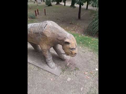 Continuamos con la recorrida . Parque municipal de la ciudad de Mercedes bs.as 