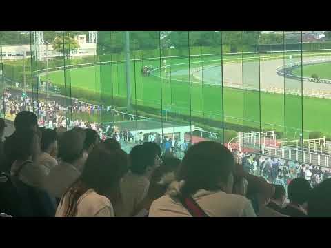 東京競馬場 オークス 2023.05.21 リバティアイランド圧勝