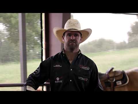 What You Should Expect From A Colt Starter