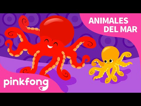 Pulpo | Animales del Mar | Pinkfong Canciones Infantiles