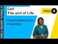 Cell The Unit Of Life NEET Plasma Membrane Properties Neela Bakore Tutorials