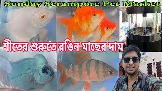 শীতের শুরুতে রবিবারের শ্রীরামপুর হাট | Aquarium Fish Price | Serampore Aquarium Fish Market | Fish 