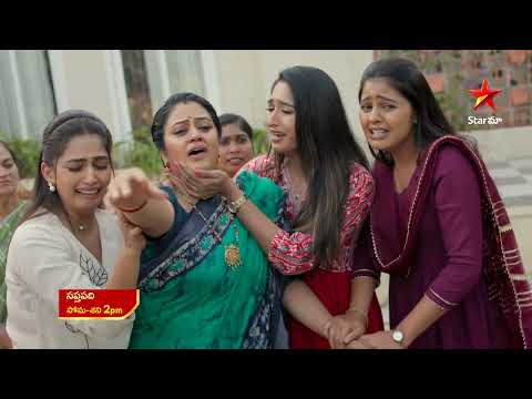 Saptapadi - Promo | 25th Nov 2025 | Mon - Sat at 2 PM | Star Maa Serials | Star Maa