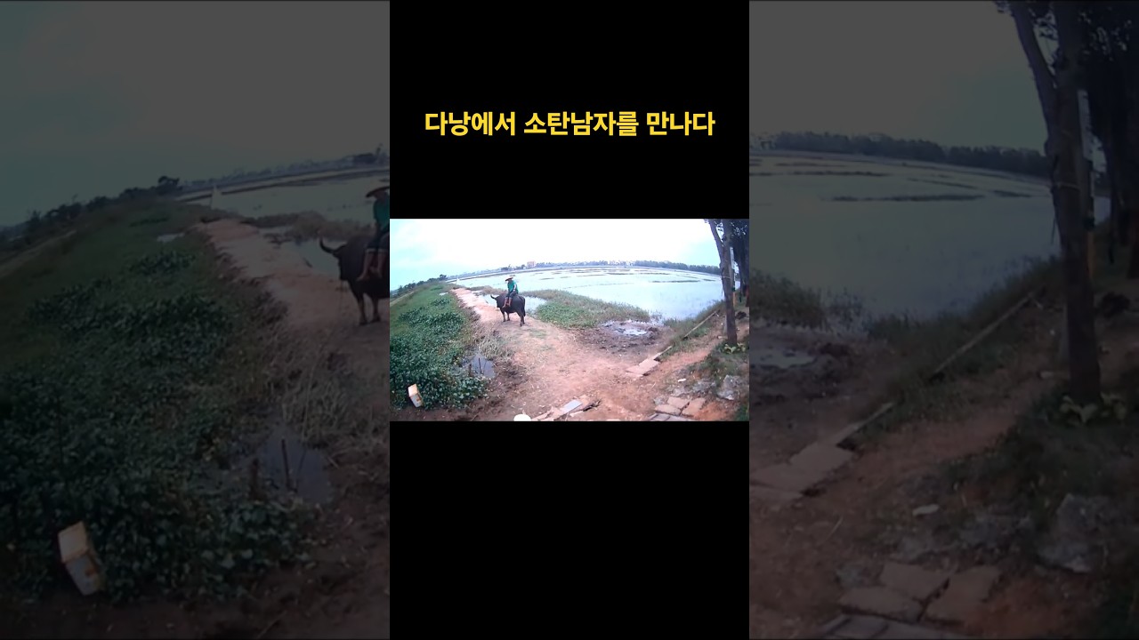 다낭에서 소탄 남자를 만나다 #travel#다낭자유여행 #호이안여행