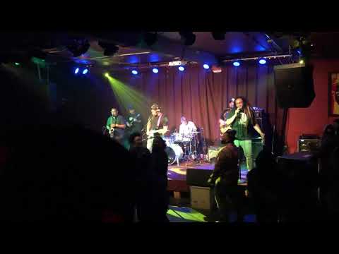 Swells & Dread Kennedy - Is This Love