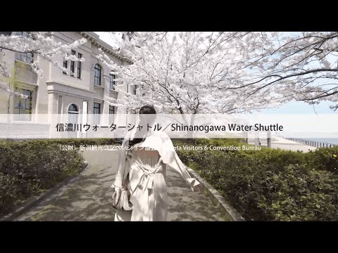 【新潟観光】信濃川ウォーターシャトル（春のクルージング）