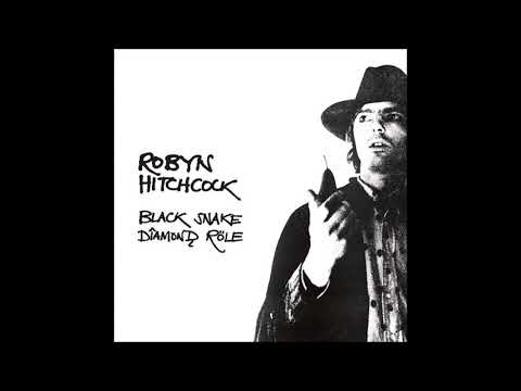 Its A Mystic Trip - Robyn Hitchcock